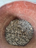 Lot of Ammunition, Weight 271 Pounds, Looks to Be .223 and .556 Casings for Reloading