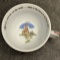 Paul Cardew Design England – Snow White Poisoned Apple Porcelain Teapot Collectible
