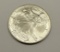 2001 American Silver Eagle Coin