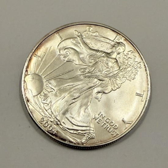 2004 American Silver Eagle Coin