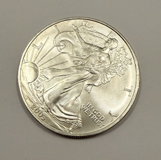 2003 American Silver Eagle Coin
