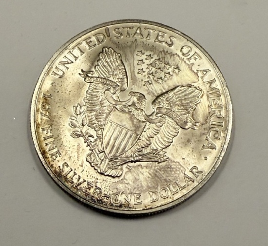American Silver Eagle Coin