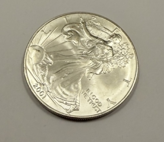 2001 American Silver Eagle Coin