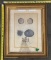 Framed Vintage Illustrations – Decorative Wall Art in Wood Frame