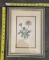 Framed Vintage Illustrations – Decorative Wall Art 10x13