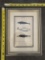 Framed Vintage Illustrations of Whales – Decorative Wall Art 9.5x12.5