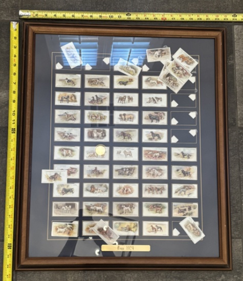 Framed 1924 Dogs Cigarette Card Set – Vintage Dog Breed Collectible Display