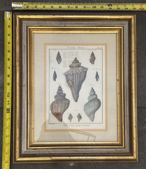 Framed Vintage Illustrations – Decorative Wall Art in Wood Frame