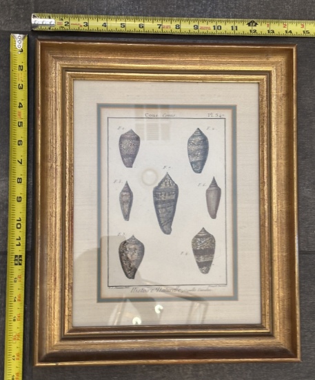 Framed Vintage Illustrations – Decorative Wall Art in Wood Frame 14x17