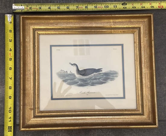 Bird Art Print in Wood Frame – Wall Decor 14x12