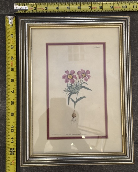 Plant Art Print in Wood Frame – Wall Decor 10x13