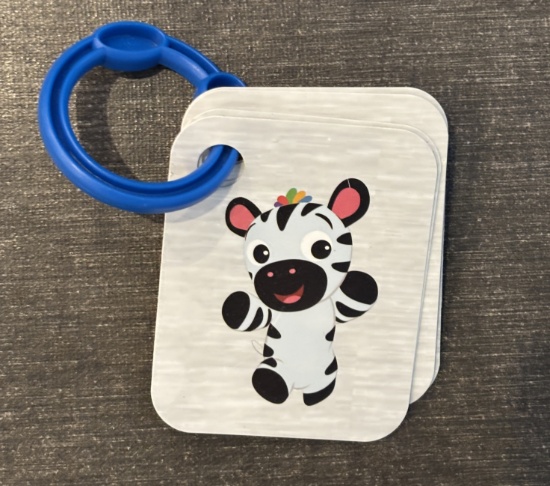 Baby Einstein Kickin Toy