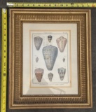 Framed Vintage Illustrations – Decorative Wall Art in Wood Frame