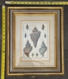 Framed Vintage Illustrations – Decorative Wall Art in Wood Frame
