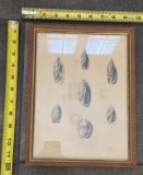 Framed Vintage Illustrations – Decorative Wall Art in Wood Frame 9x12