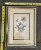 Framed Vintage Illustrations – Decorative Wall Art 10x13