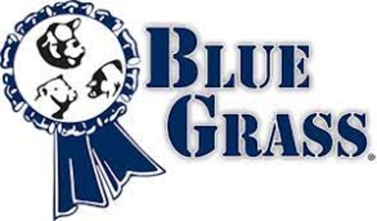 Bluegrass Stockyards Lexington Consignment Auction
