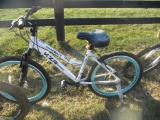 1846 Bicycle