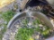 2 GALVANIZED TRAILER FENDERS