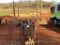 PINTLE HITCH