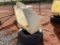 CO-OP MINERAL FEEDER