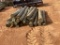 BUNDLE 8' WOODEN POST