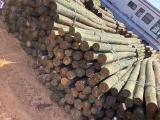 BUNDLE OF POST.