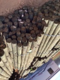 BUNDLE OF POST.