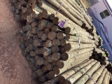 BUNDLE OF POST.