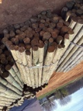 BUNDLE OF POST.
