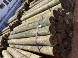 BUNDLE OF POST.