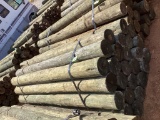 BUNDLE OF POST.