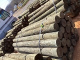 BUNDLE OF POST.