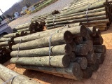 BUNDLE OF POST.