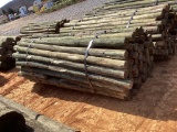 BUNDLE OF POST.