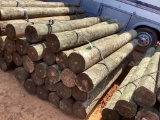 BUNDLE OF POST.