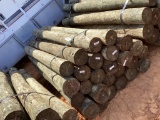 BUNDLE OF POST.