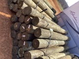 BUNDLE OF POST.