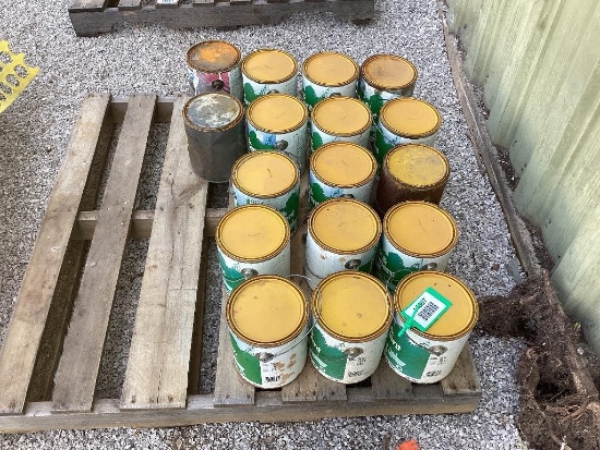 CAT Paint
