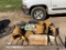 Pallet of Misc. CAT Air Cleaners