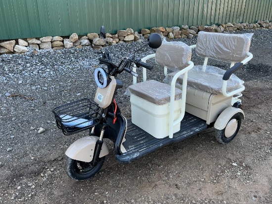2026 Mini Golf Cart