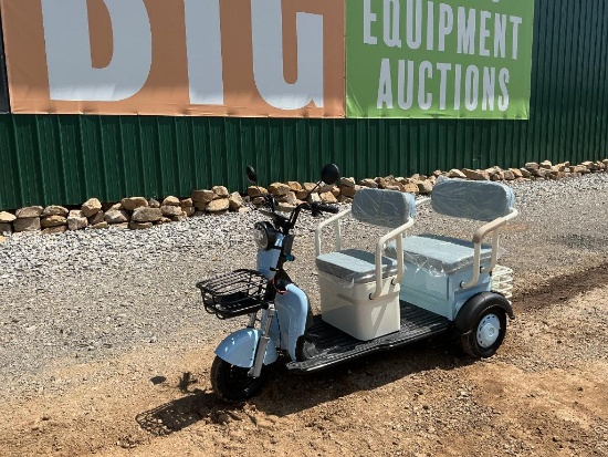 2026 Mini Golf Cart