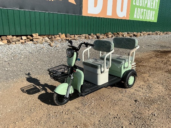 2026 Mini Golf Cart