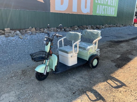 2026 Mini Golf Cart