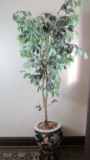 Natural Bark Ficus Tree In Ceramic Pot On Wood Stand - H2