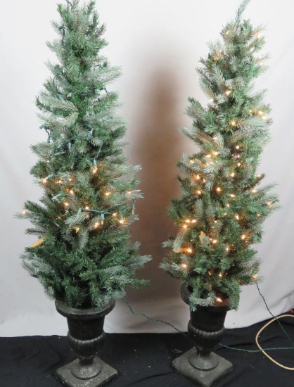 Pair Of Lighted Skinny Decorative Trees In Pots - DR