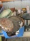 Assorted Dishes, Wall Sconces, Serving Trays, & Misc. - B