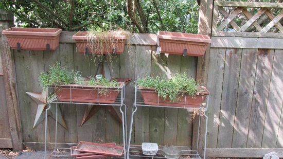 (5) Planters - Y