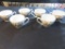 (6) Countryside Pattern Tea Cups - DR