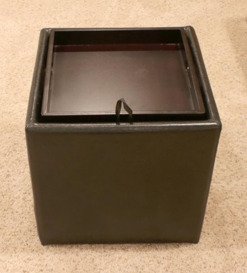 (2) Storage Cubes With Tray - B+GBR